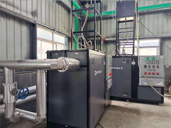 化工厂防爆导热油加热器2